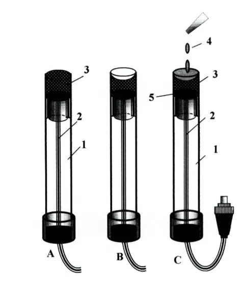 Figura 2.4.2.1-Aplicação do suporte condutor no corpo dos eléctrodos e deposição da  membrana sensora: 1-tubo de perspex; 2-cabo condutor; 3-suporte condutor; 4-solução  sensora; 5-placa circular de cobre