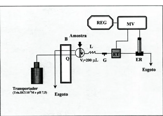 Figura 2.8.1.1-Sistema FIA de baixa dispersão utilizado na avaliação das características  gerais de funcionamento dos eléctrodos tubulares: B-bomba peristáltica; Q-caudal da  solução transportadora (5,lmL/min); Vi-volume de injecção; ET-eléctrodo tubular; 