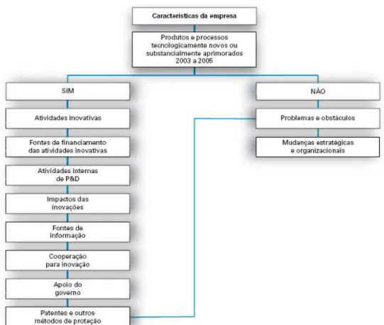 Figura 3: Estrutura lógica do conteúdo do Questionário da Pesquisa - Fonte: IBGE - PINTEC 2005 