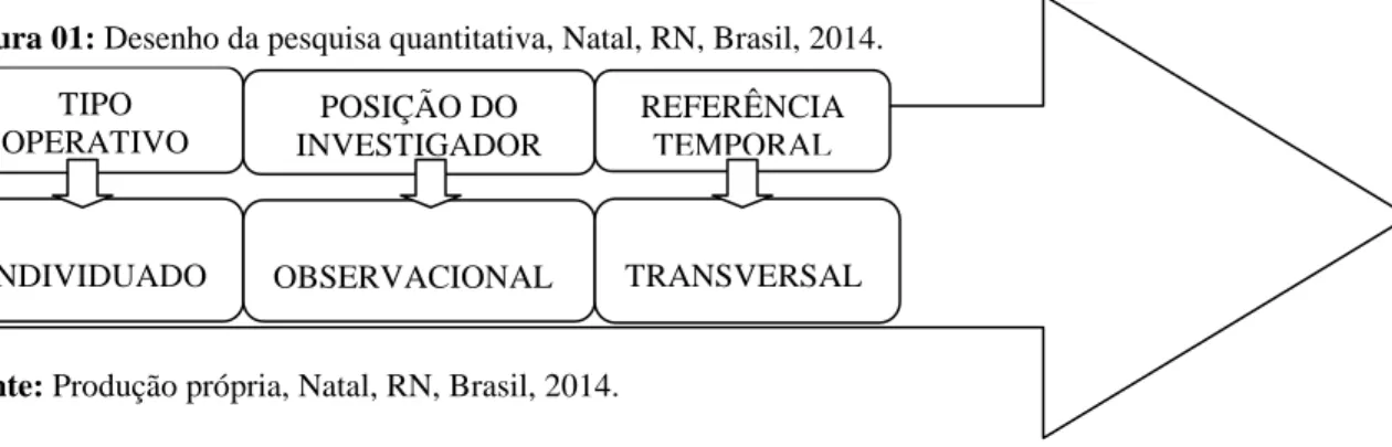 Figura 01: Desenho da pesquisa quantitativa, Natal, RN, Brasil, 2014. 