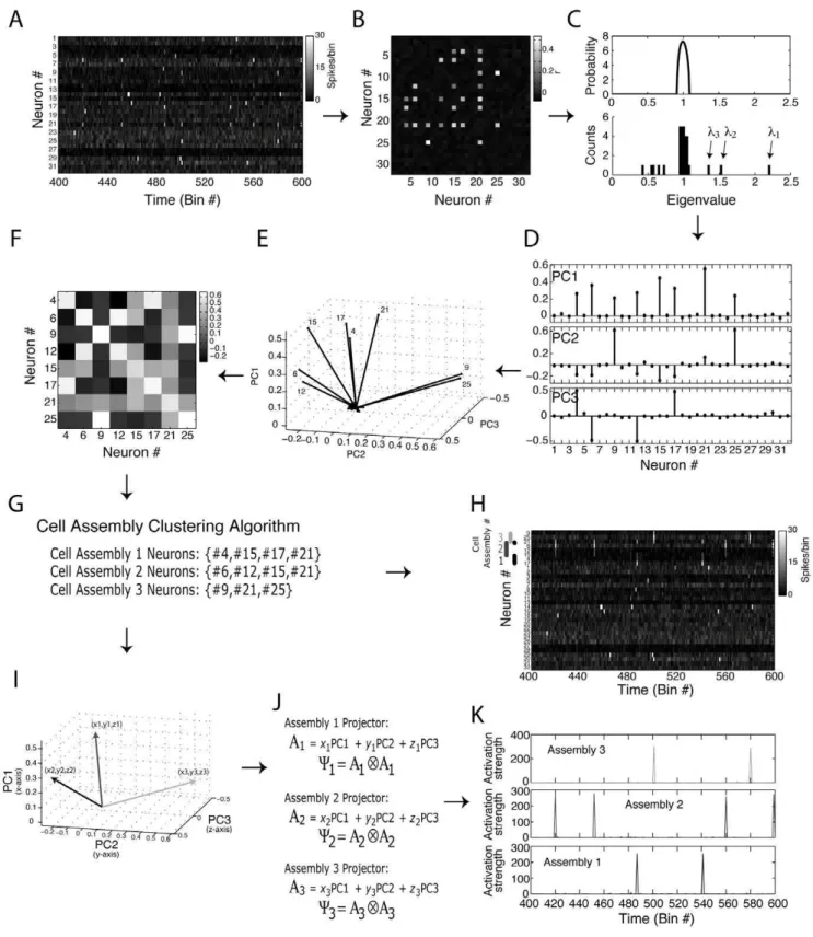 Figure 7. Identification of cell assemblies with overlapping neurons. (A–K) Same panels as in Figure 6, but for a network composed of three cell assemblies presenting common neurons