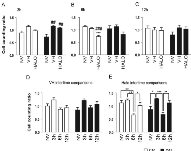 Figure 5 Cell counting quantiﬁcation of Zif-268 staining at three distinct time points