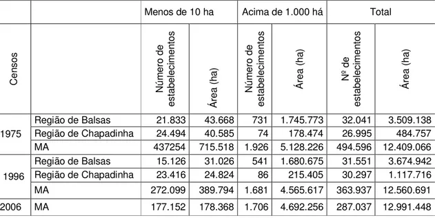 Tabela  02  –  Estrutura  fundiária  do  Maranhão  e  das  regiões  agrícolas  de  Balsas  e  Chapadinha  de  1975-2006