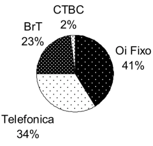 Gráfico 04 - Composição do Market Share do mercado de Telefonia Fixa no Brasil   Fonte: www.anatel.com.br (Mar./2007) 