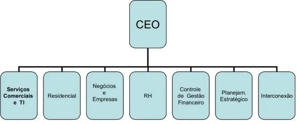 Figura 11 - Organograma da Telefônica São Paulo 