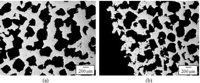Figure 46. Microstructure of WC 72 Ts K70 PE35_P(des)150 t60 sample after sintering (1200 ºC, 3  h)