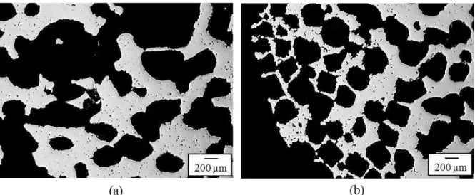 Figure 47. Microstructure of WC 72 Ts K70 PE35_P(des)294 t240 sample after sintering (1200 ºC, 3  h)