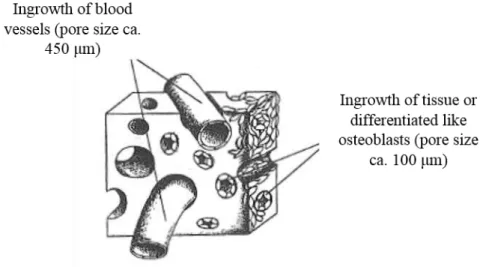 Figure 1. Schematic drawing of blood vessels and tissue ingrowth into the implant structure [27]