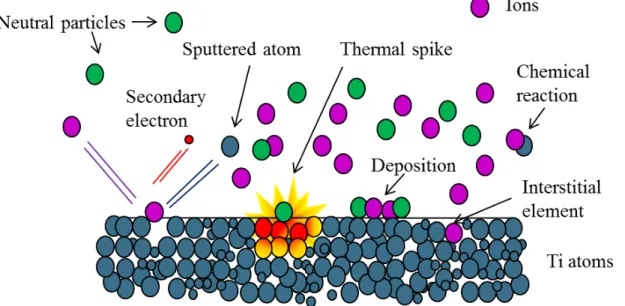 Figure 13. Schematic illustration of the interactions ions-surface on titanium substrate