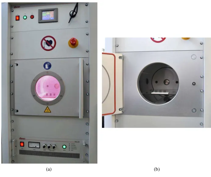 Figure 25. Pictures of (a) the low pressure plasma device used in the present study and (b) in detail,  samples placed inside the plasma device
