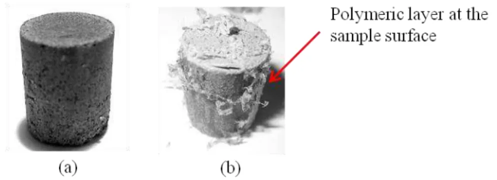 Figure 34. WC 72 Ts K70 PE35 samples in the unsintered state after debinding: (a) WC 72 Ts K70  PE35 untreated