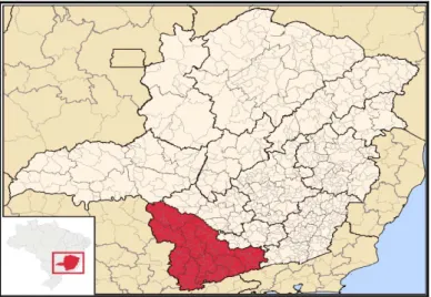 Figura 2.2:  Região denominada Sul de Minas. 
