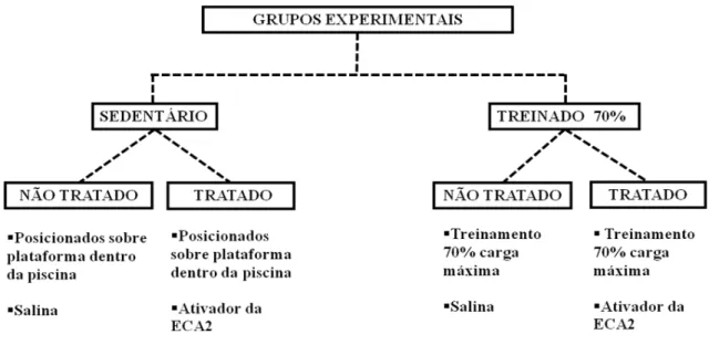 Figura 5: Representação esquemática dos grupos experimentais. 