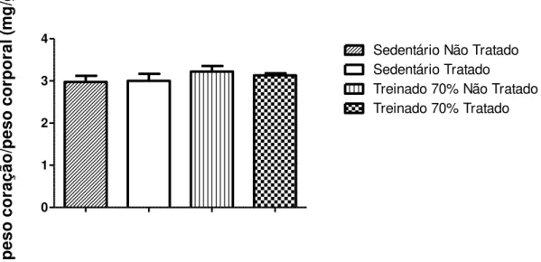 Figura  10:  Relação  entre  o  peso  do  coração  e  o  peso  corporal  nos  grupos  sedentário  não  tratado  e  tratado  com  o  DIZE  e  treinado  70%  não  tratado  e  tratado  com  o  DIZE