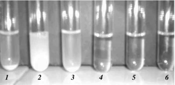 Figure 4.  Macroscopic aspect of the system during BPG incorporation into micellar aqueous NaDC