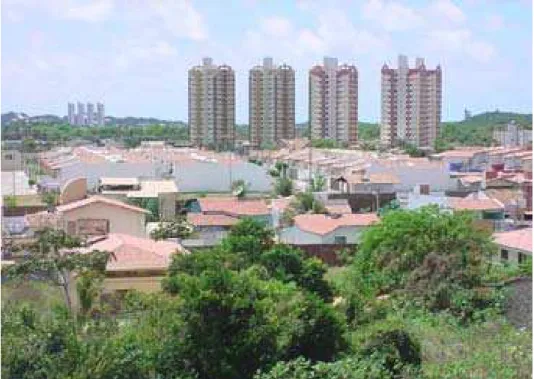 Figura 6 - Em primeiro plano, vista de uma área de duna parcialmente destruída, cedendo lugar para as edificações residenciais