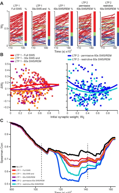 Fig 6. LTP model variations show that evaluation around the SWS/REM transition leads to pattern restructuring