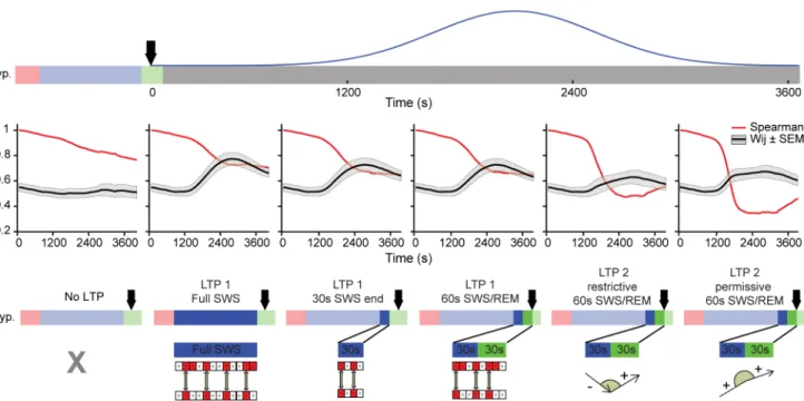 Fig 7. Group data (n = 6) show pattern restructuring when LTP is evaluated near the SWS/REM transition