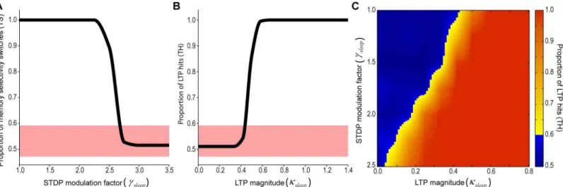 Fig 9. Functional relationship between the synaptic homeostasis and embossing hypotheses