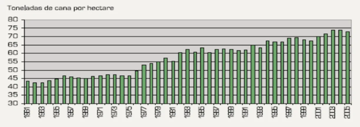 Gráfico 0.3: Produtividade Média dos Canaviais no Brasil (1960 a 2005) 
