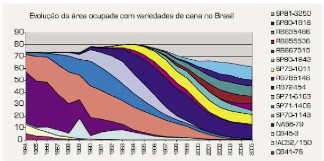 Gráfico 0.4: Composição e dinâmica do uso de variedades de 1984 a 2005. 