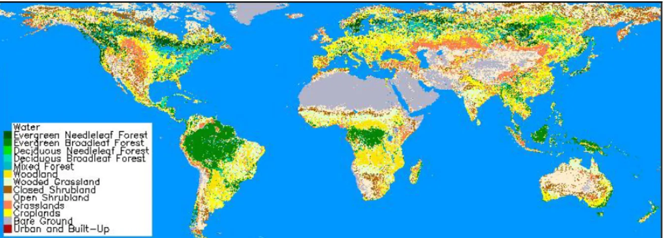 Figure 2: The UMD global land cover product. The image has been resampled to 2% of its  original size