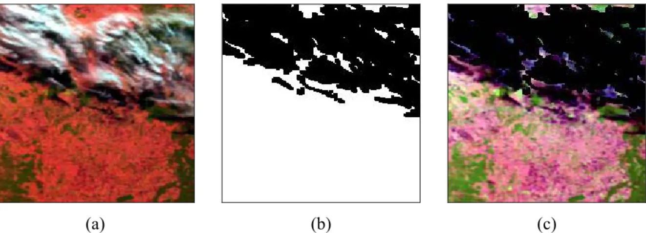Figure 6: Example of the cloud masking procedure available in the GBA2000 pre-processing  module