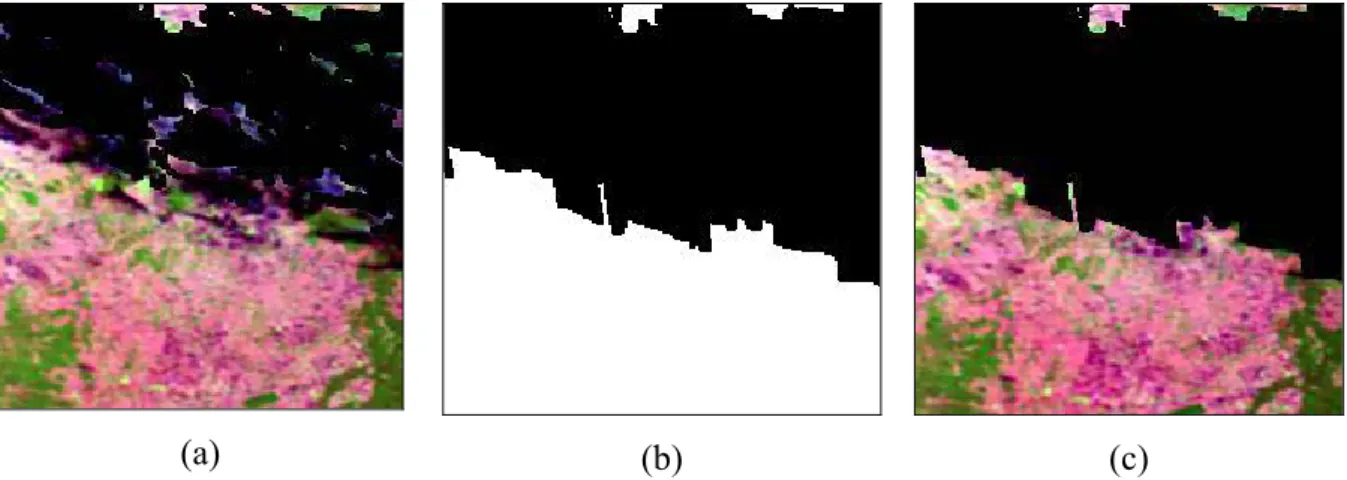 Figure 8: Example of the cloud shadow masking procedure available in the GBA2000 pre- pre-processing module