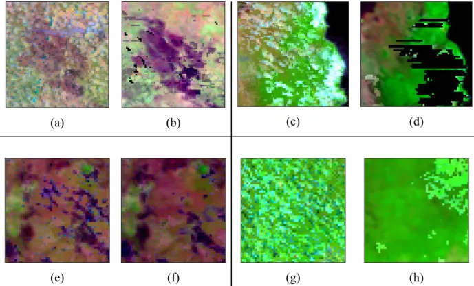 Figure 11: Example of the improvements in the image composite as a result of pre-processing  the data prior to compositing