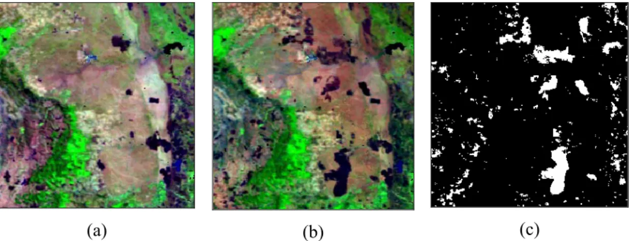 Figure 17: The Image composites from a small region in South Africa and Mozambique are  shown for the months of August (a) and September (b) 2000