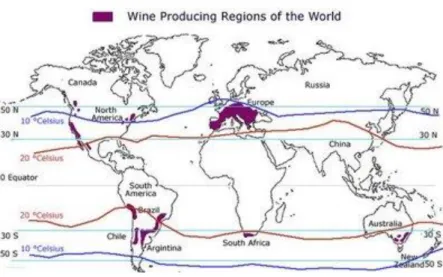 Figura 02 – Regiões produtoras de vinho no mundo 342 