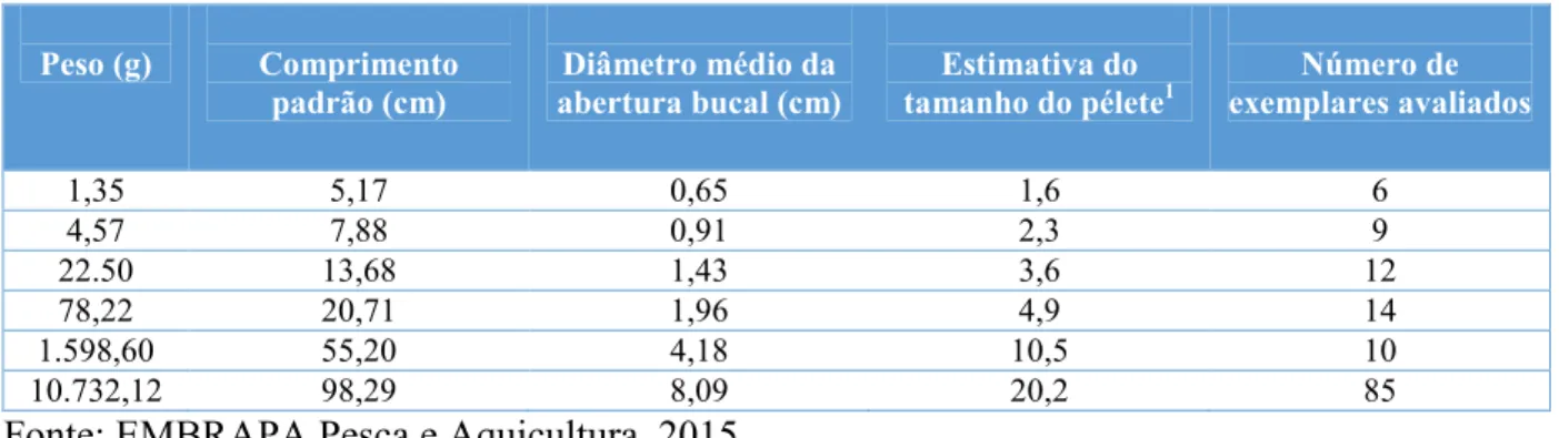 Tabela 2 – Abertura bucal de exemplares de pirarucu em diferentes classes de tamanho. 