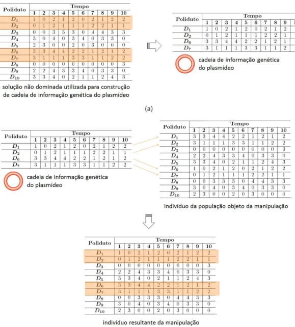 Figura  4.10  -  Exemplo  de  construção  da  cadeia  de  informação  genética  de  um 