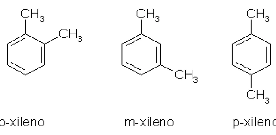 Figura 5: Fórmula estrutural do xileno. 