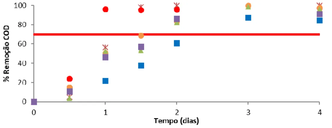 Figura 3: Porcentagens de redução de matéria orgânica com lodo inativado em teste de  biodegradabilidade aeróbia com distintas amostras, para controle de adsorção no lodo _  Campanha 1 