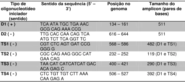 Tabela  1  -  Sequência  de  oligonucleotídeos  que  foram  utilizados  para  tipagem  dos  vírus  da  dengue  por meio de transcrição reversa seguida da reação em cadeia pela polimerase (RT-PCR)