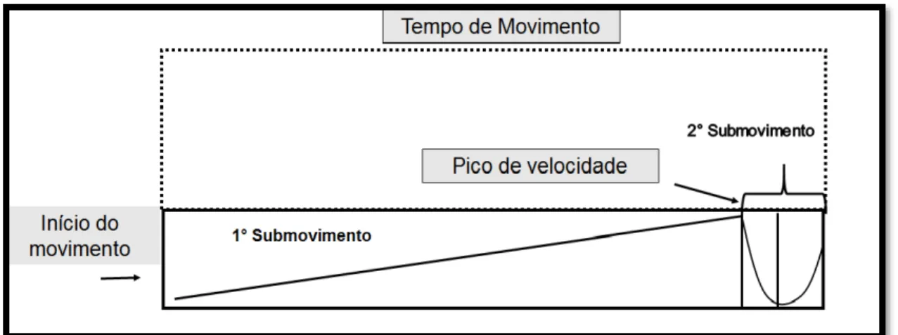 FIGURA  2:  Movimento  de  apontamento  na  privação  visual.  Representação  de  possível perfil de velocidade na ausência da visão, indicando maior  dependência de pré-programação do movimento