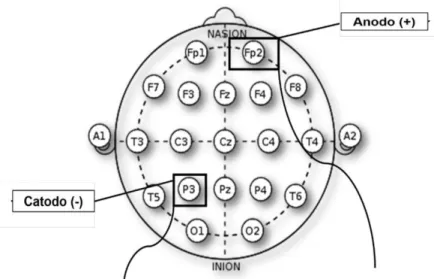 FIGURA  5:  Desenho  esquemático  adaptado  de  Nitsche  et  al. (2008) sobre as  posições  dos  eletrodos  (em  um  protocolo),  seguindo  o  sistema  internacional  10-20  de  EEG