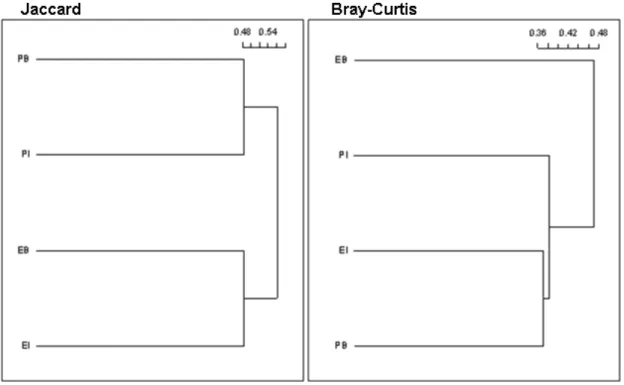 Figura 4- Dendrogramas  criados  a  partir  dos  índices  de  dissimilaridade  de Jaccard e de Bray-Curtis