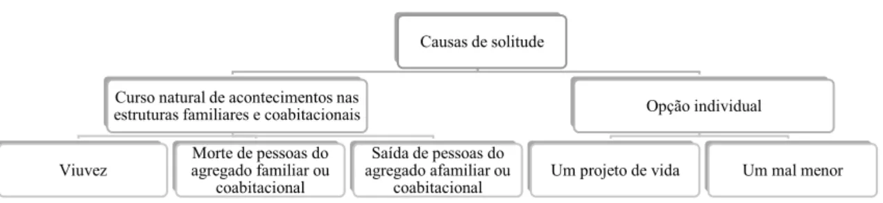 Figura nº 2 Causas de solitude 