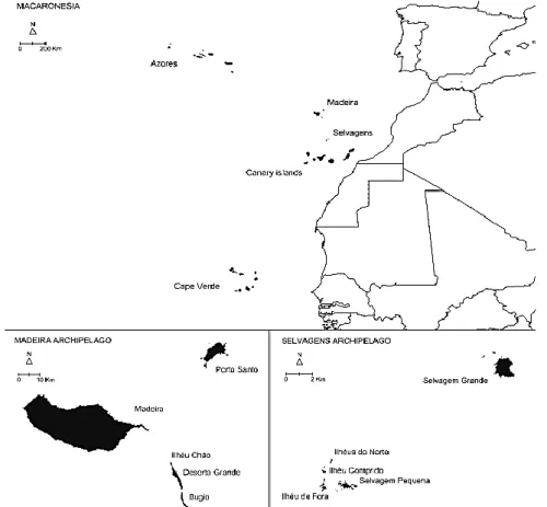 Figura 7: Mapa de localização e composição do Arquipélago da Madeira (Borges et al., 2008:16).