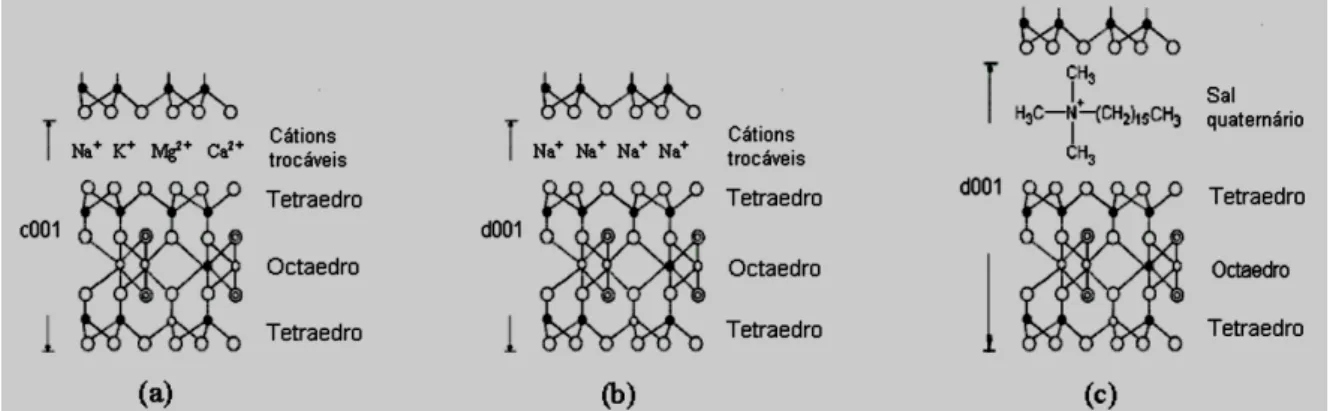 Figura  6  –  Esquema  do  procedimento  de  obtenção  de  argilas  organofílicas:  (a)  estrutura  de  argila  policatiônica;  (b)  estrutura  de  argila  monocatiônica;  e  (c)  estrutura  de  argila  organofílica
