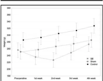 FIGURE 1 –  Mean weight of rats in each group and  postoperative period; SB, short bowel.