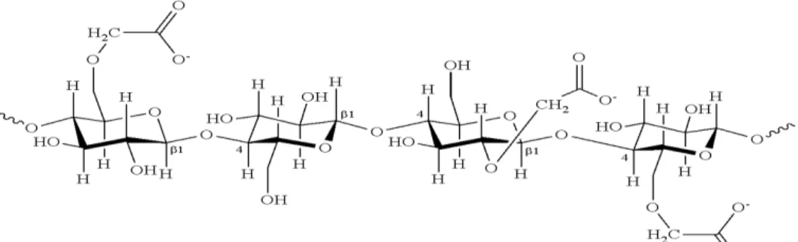 Figura 1. Estrutura da Carboximetilcelulose 