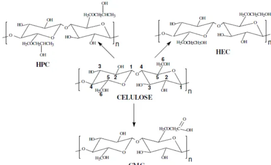 Figura  2.  Celulose  e  seus  derivados:  HPC  (hidroxipropilcelulose),  celulose,  HEC 