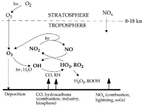 Figura 4.2. Esquema da química do ozônio interagindo com os ciclos de HO x , NO x  e  RO 2  (radicais peroxi)