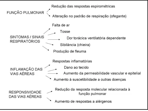 Figura 4.3. Esquema dos efeitos respiratórios causados pelo ozônio (baseado no  relatório EPA, 2006) 