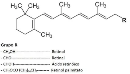 Figura 1 - Estrutura química de compostos com atividade biológica de vitamina A.  