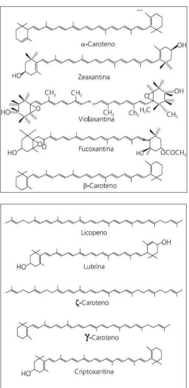 Figura 2 - Estrutura química de alguns carotenoides. 