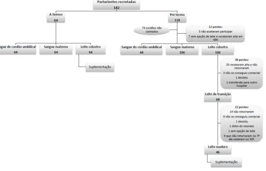 Figura 7 - Fluxograma de coleta de amostras biológicas dos grupos termo e pré-termo. 